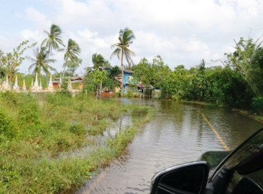 การประชุมติดตาม ... พารามิเตอร์รูปภาพ 8
